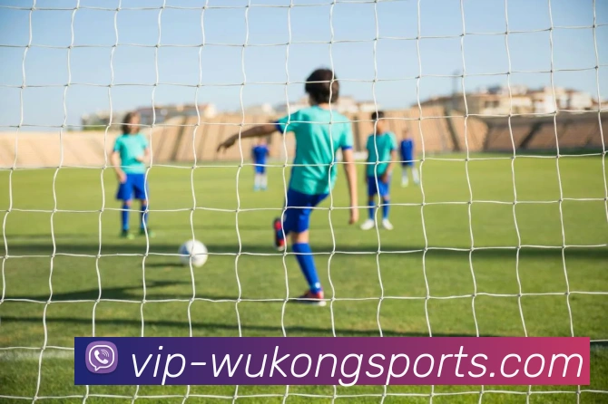 悟空体育平台生态图