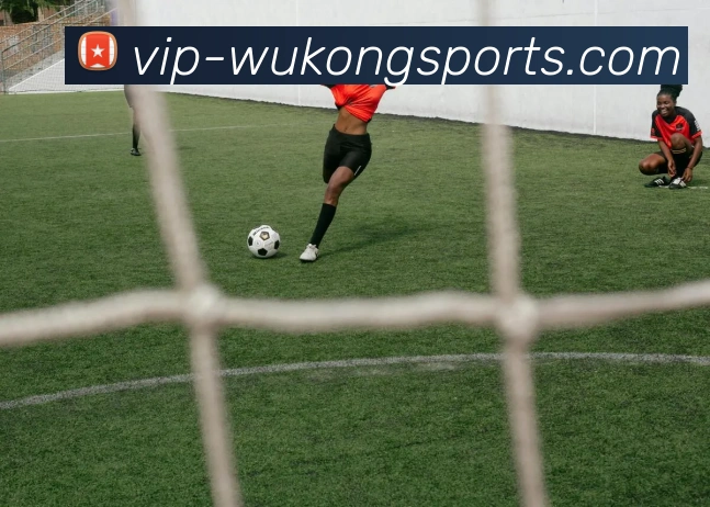 悟空体育全站App 悟空体育全站App